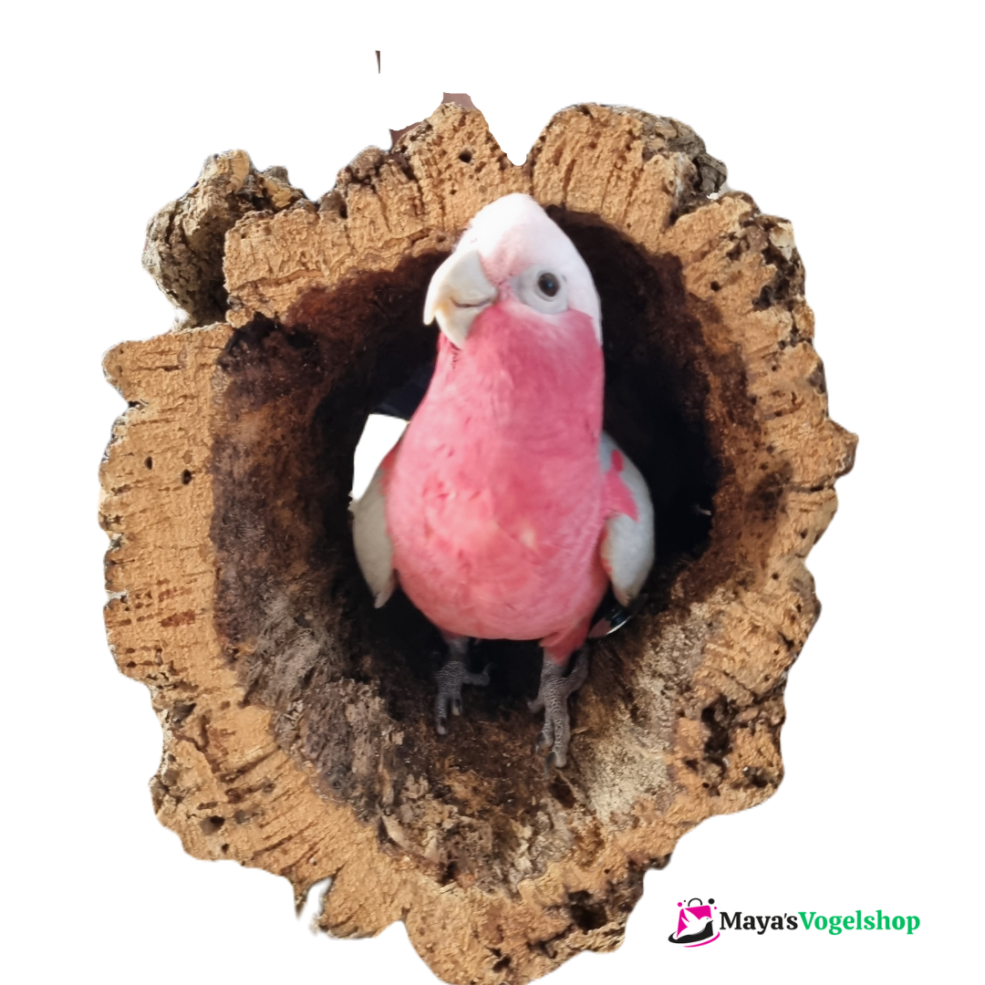 Back Zoo Nature Trunkhut groot
