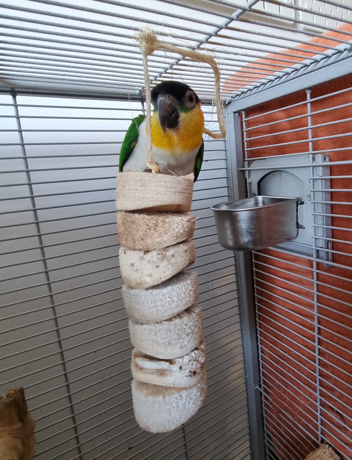 Bird Kabob