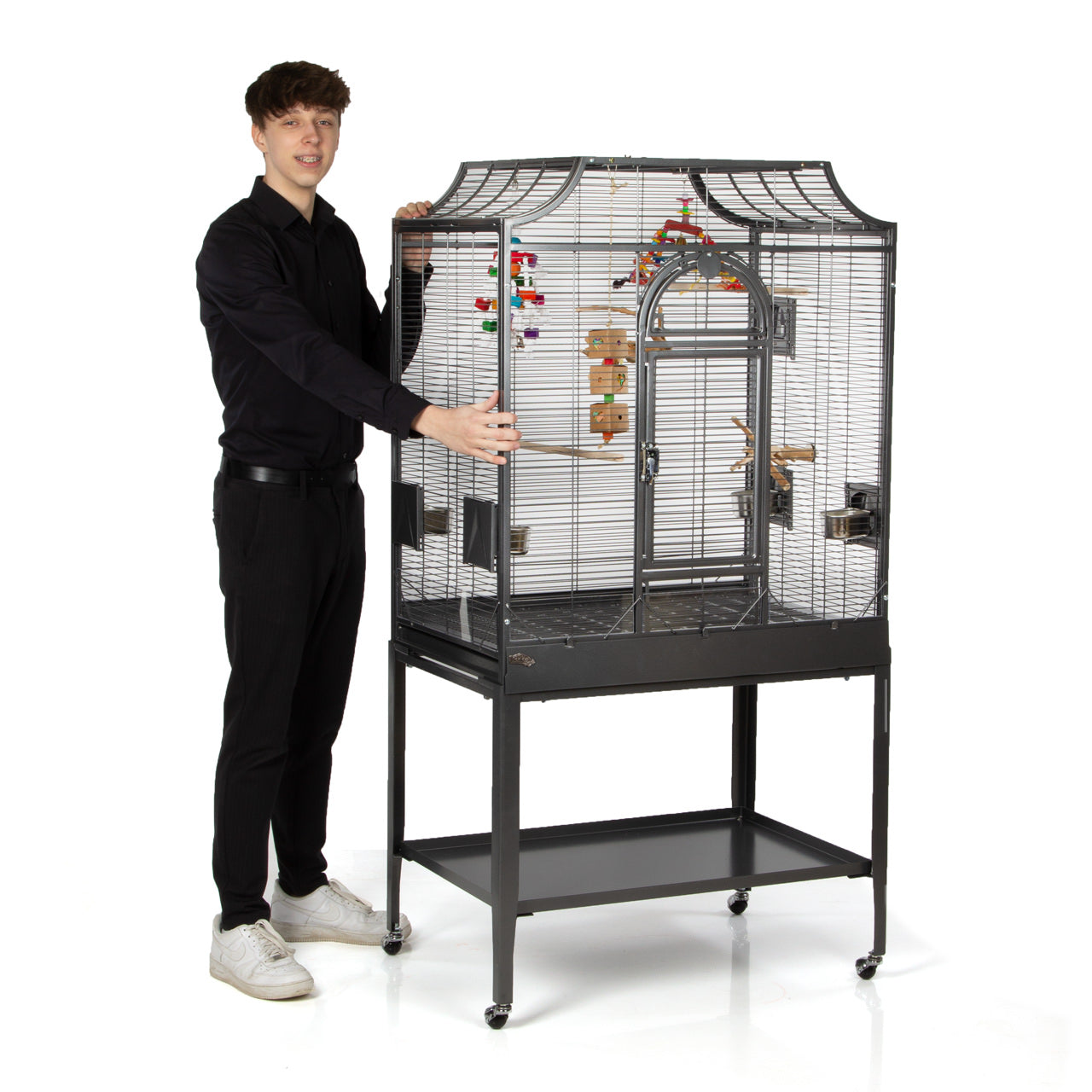 Montana - Madeira II