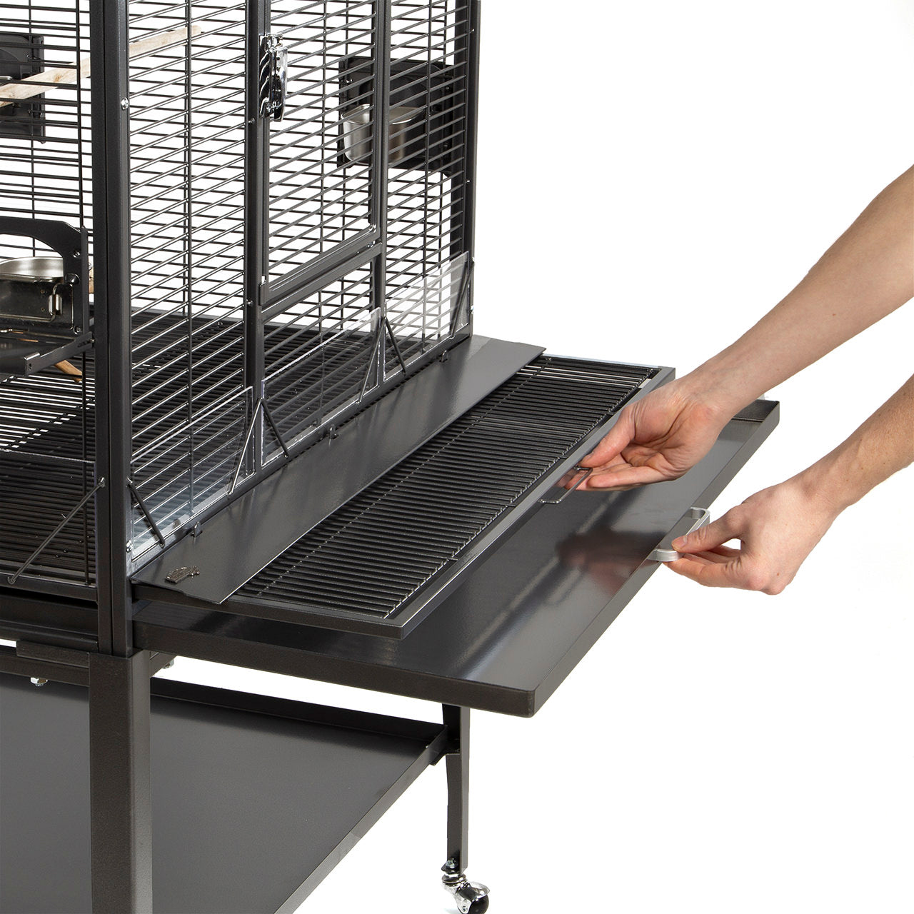 Montana - Madeira II