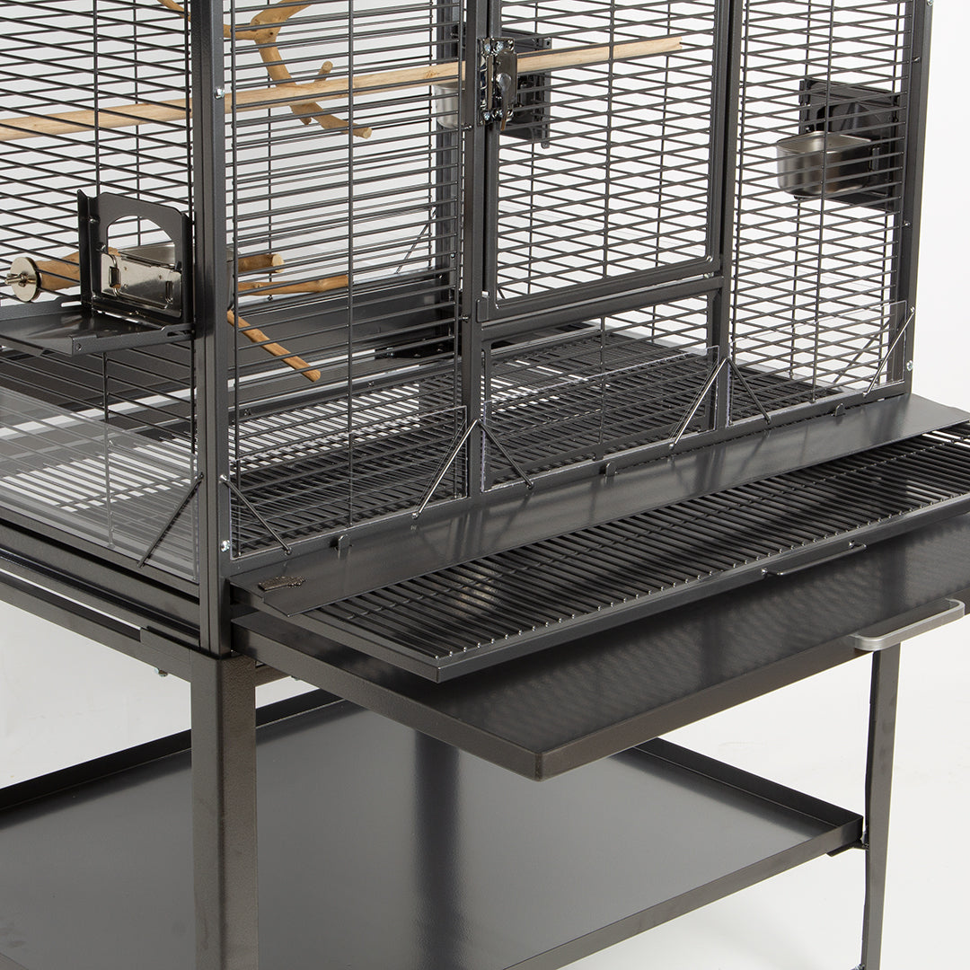 Montana - Madeira II