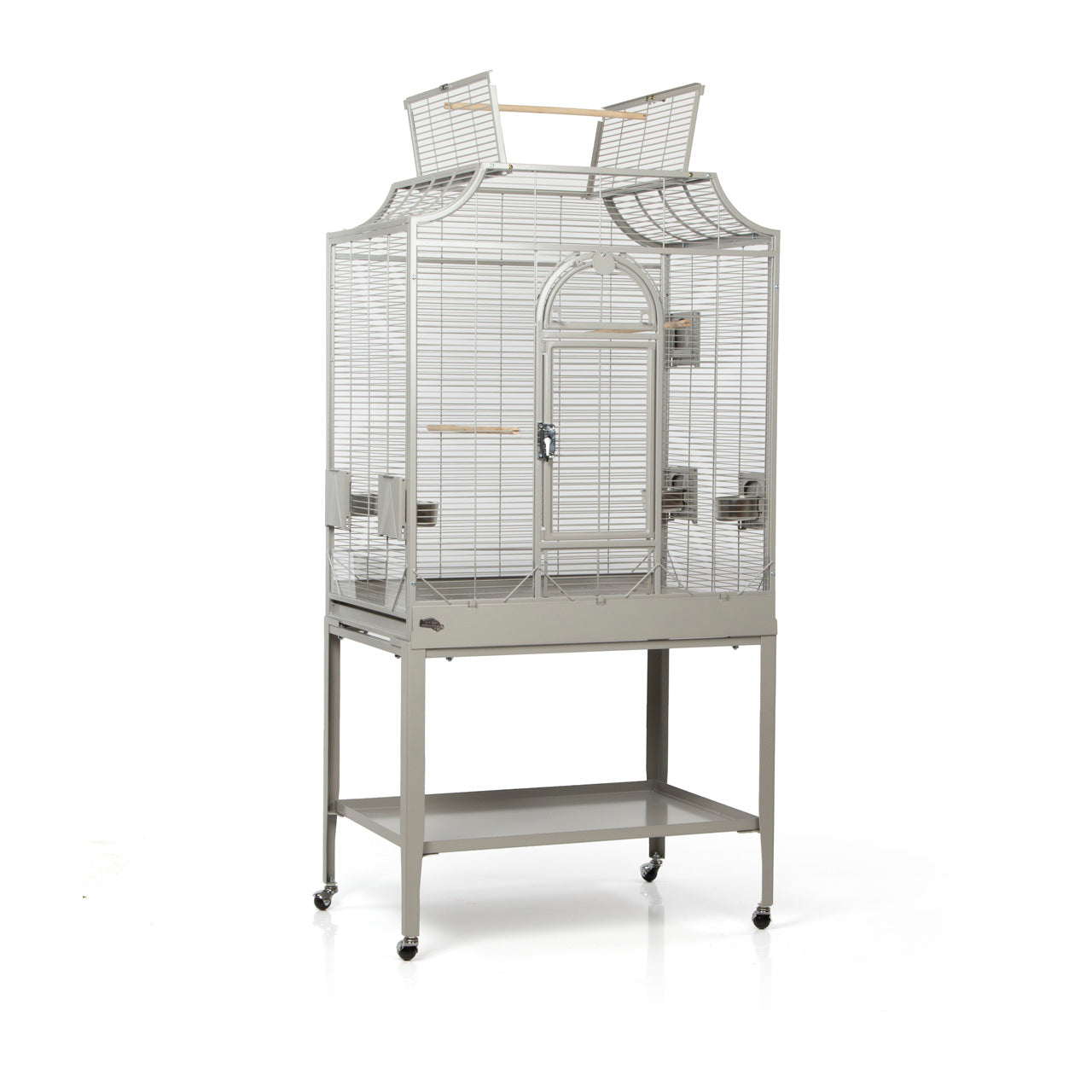 Montana - Madeira II