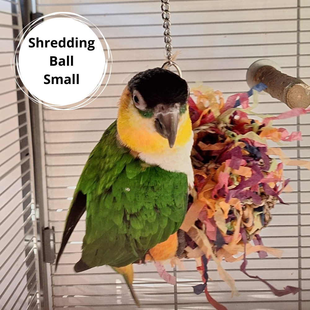Back Zoo Nature - Super Shredding Ball
