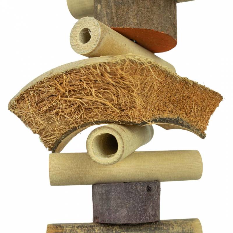 Back Zoo Nature Coconut Slices