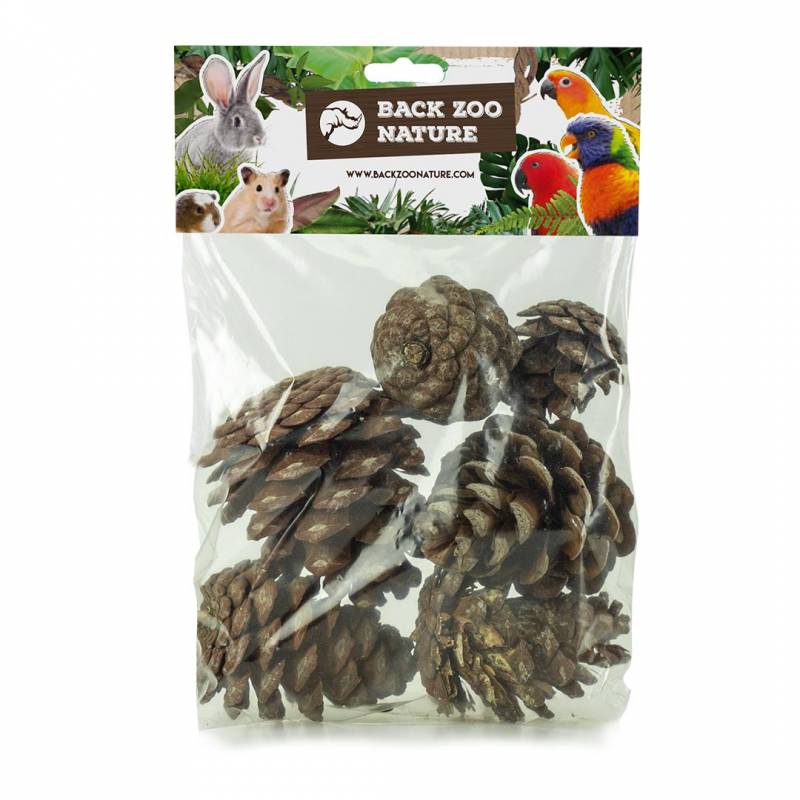 Pine Cones vogelspeelgoed Back Zoo Nature