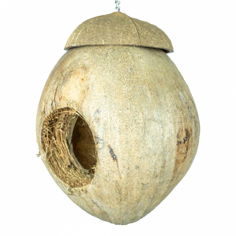Back Zoo Nature Hanging Coconut Villa