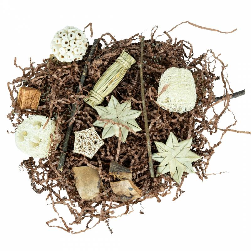Back Zoo Nature - Pentagon Foraging & Play Box