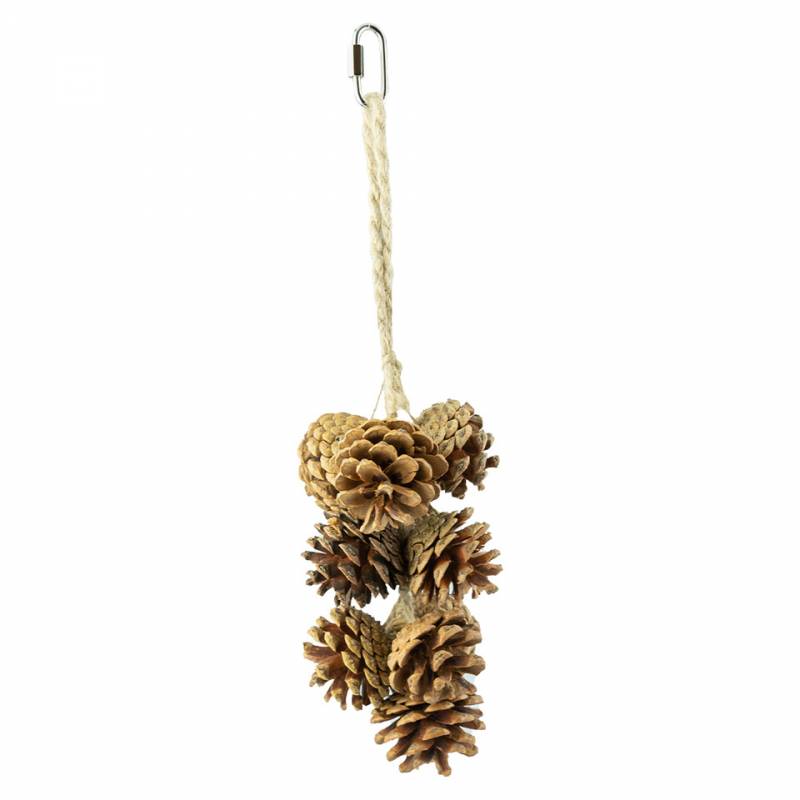 parkieten speelgoed - back zoo nature - pine cones