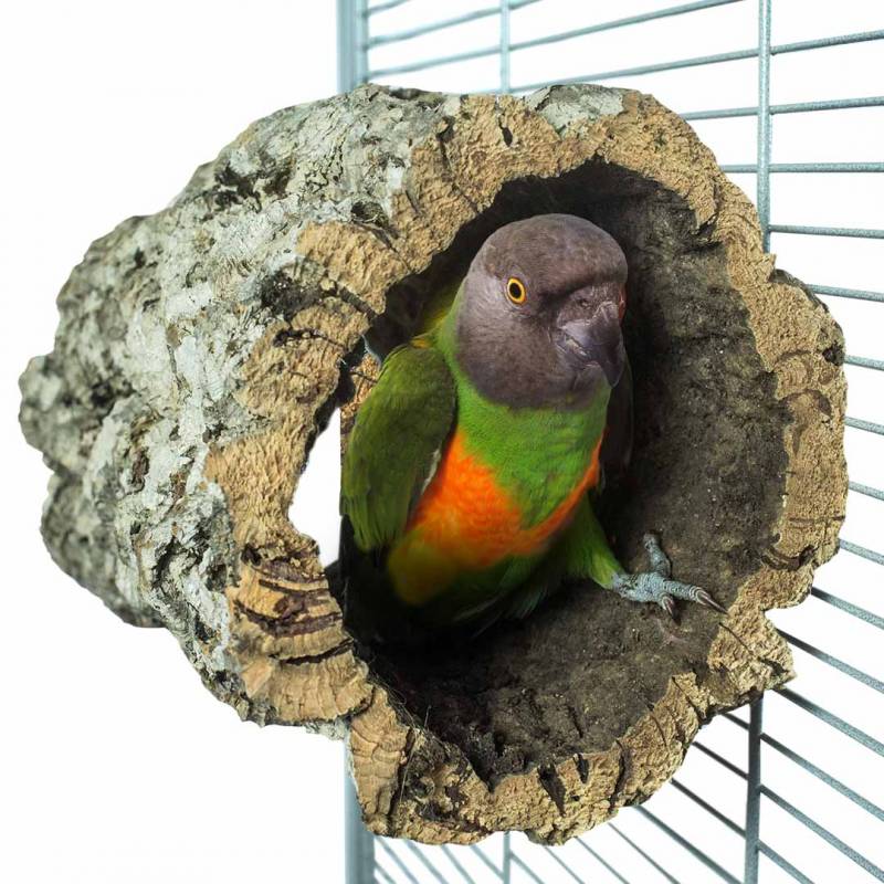 Back Zoo Nature trunkhut medium