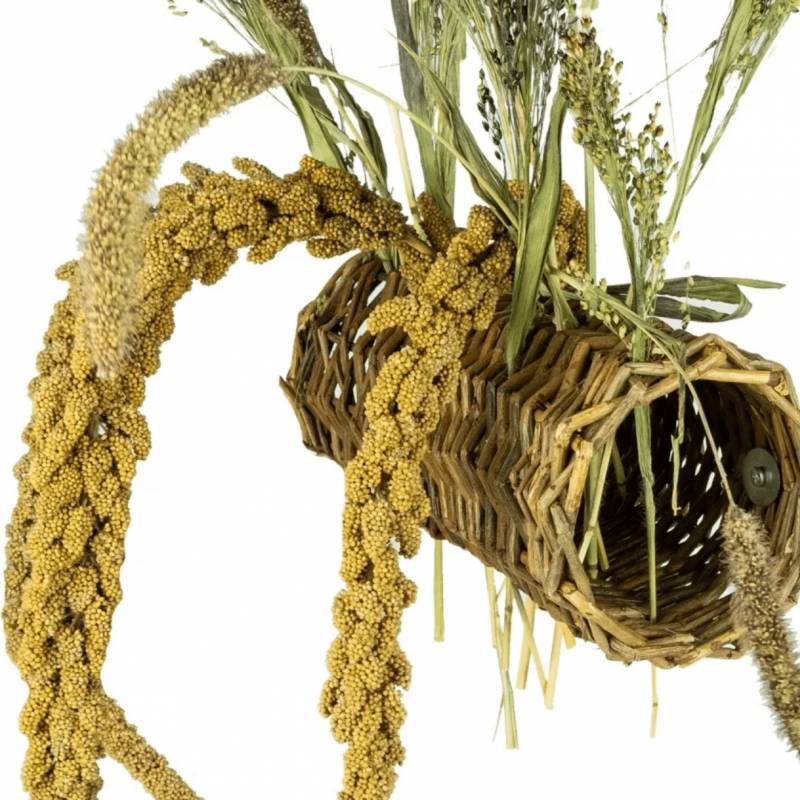 Back Zoo Nature Willow Tunnel