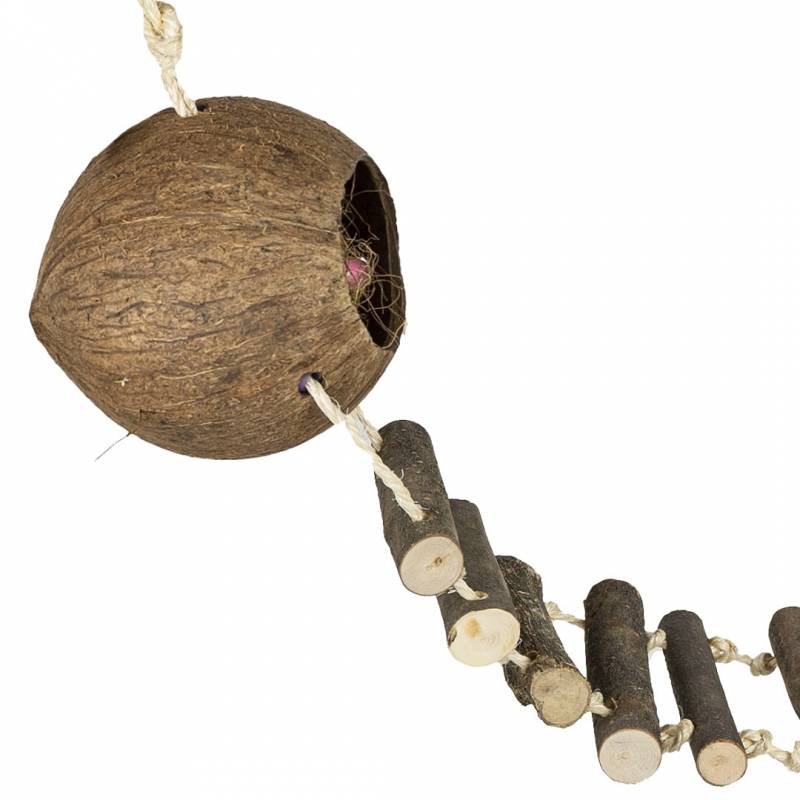 Vogelspeelgoed ladder met kokosnoot