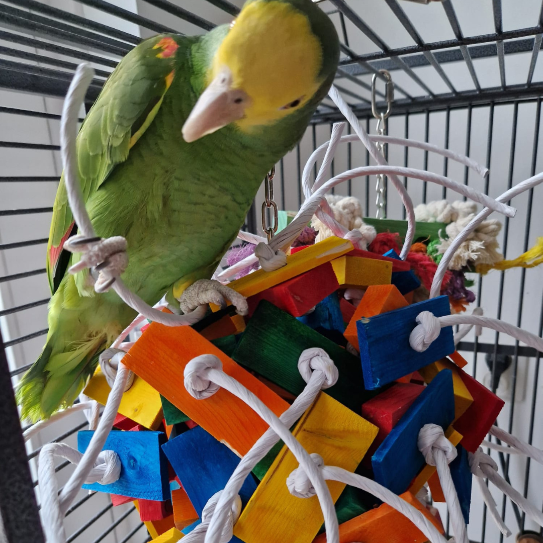 Vogelspeelgoed Zoo Max Extreme Fireball