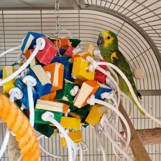 Zoo Max Extreme Fireball