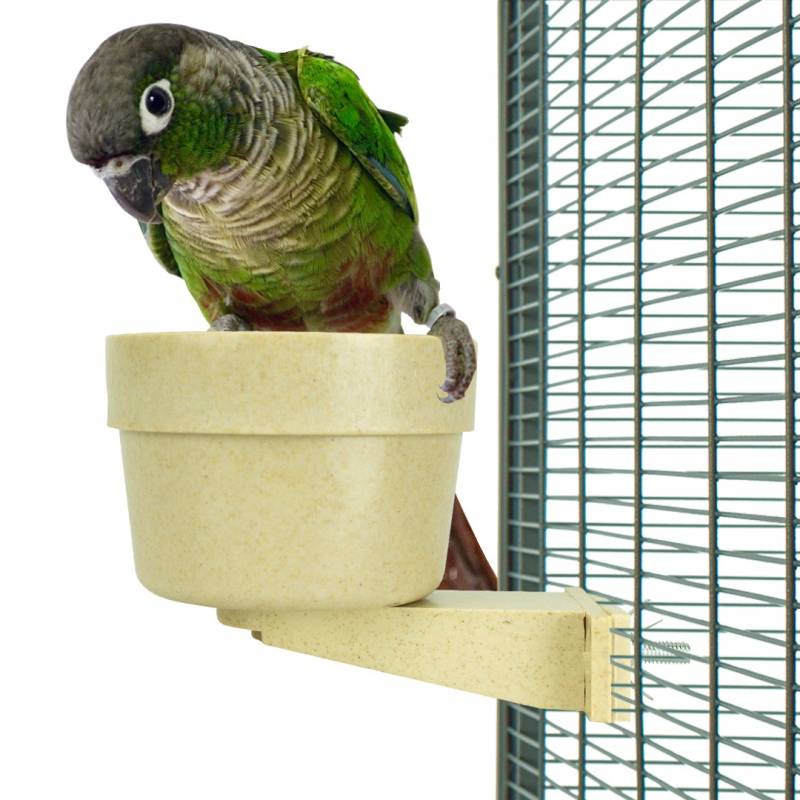 Complete set vogelkooi inrichting