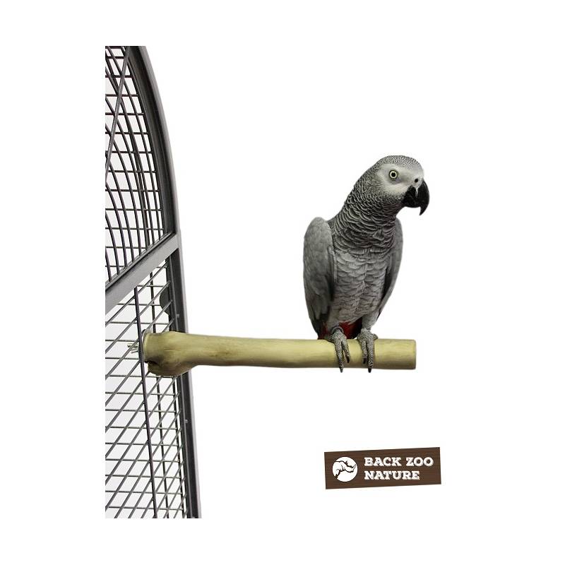 Back Zoo Nature - Zitstok Java Single Perch medium
