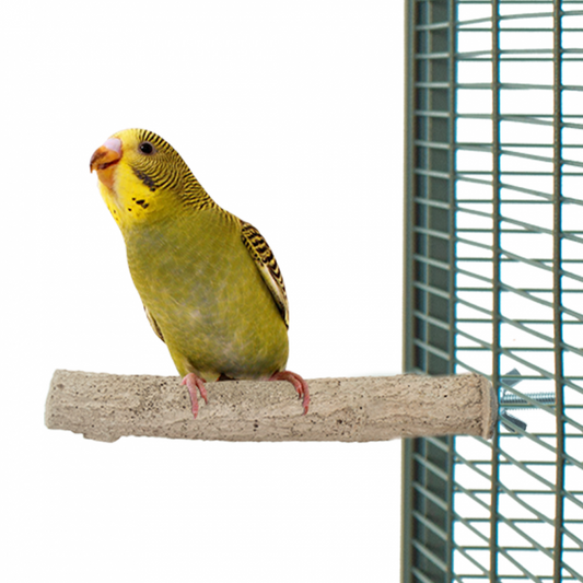 Zitstok voor vogels - slijtstok voor vogels - nagelstok voor kromsnavels