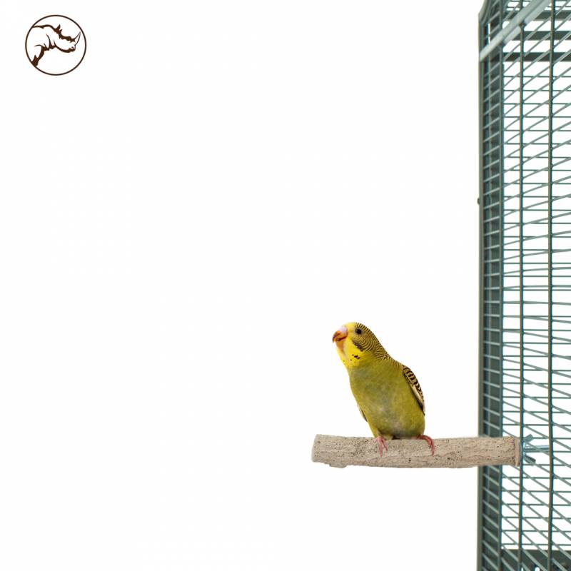 Complete set vogelkooi inrichting