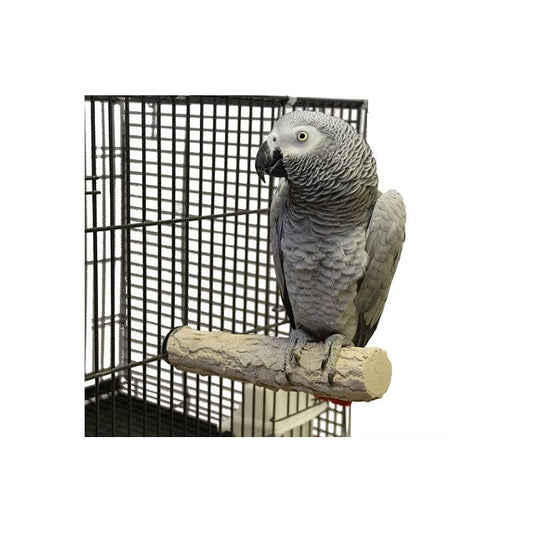 Back Zoo Nature - Super Stone Perch Papegaai