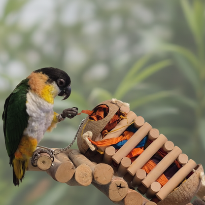 Quapas! Bird Toy Stacker