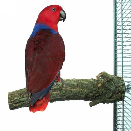 Back Zoo Nature Corky Perch