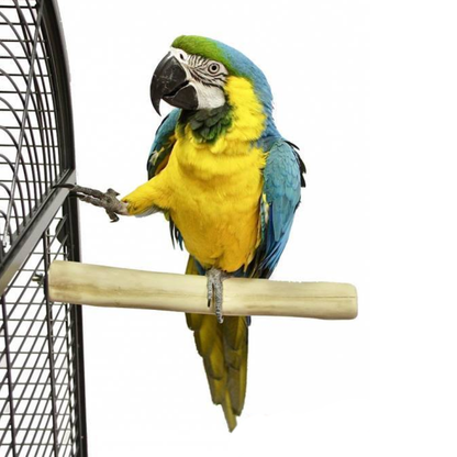 Back Zoo Nature - Zitstok Java Single Perch