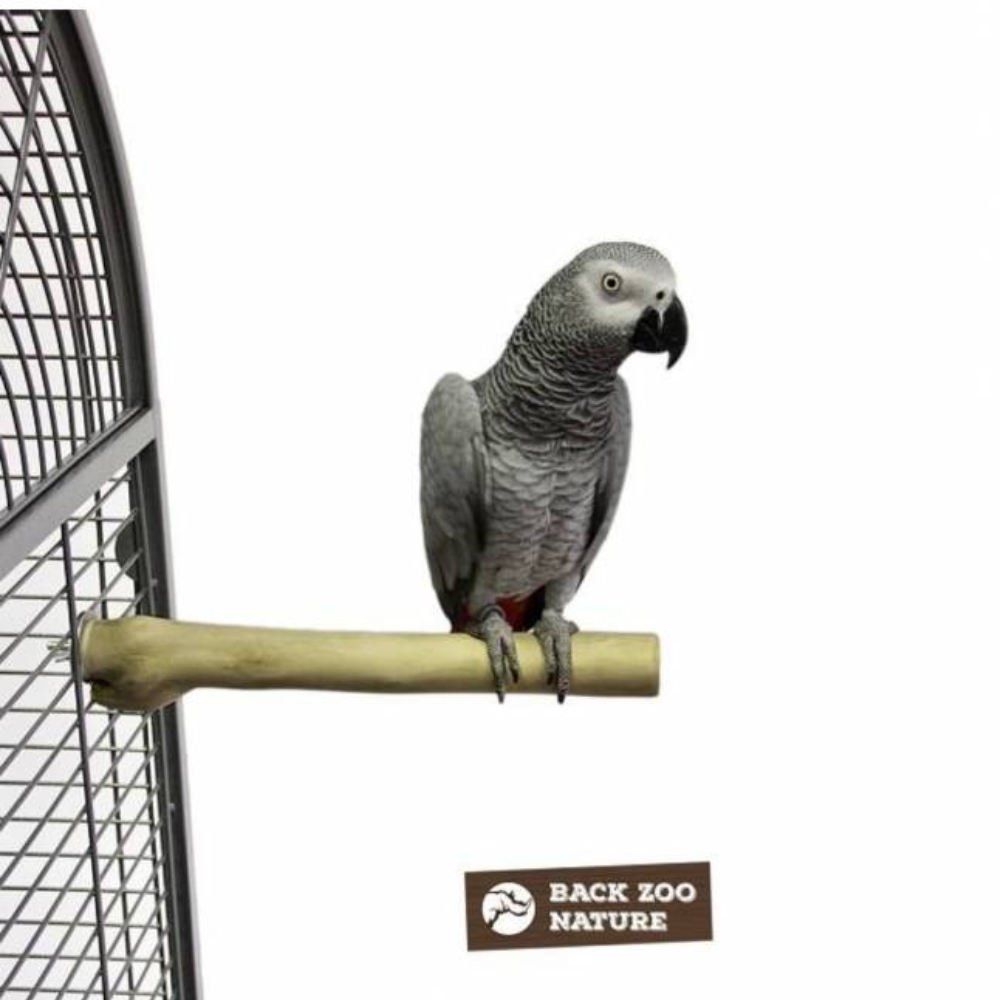 Back Zoo Nature - Zitstok Java Single Perch