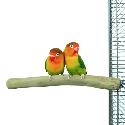 Back Zoo Nature - Zitstok Java Single Perch