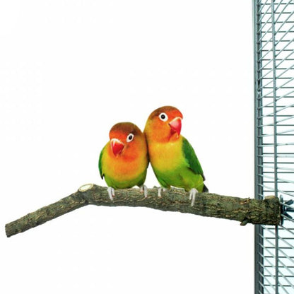 Back Zoo Nature Corky Perch