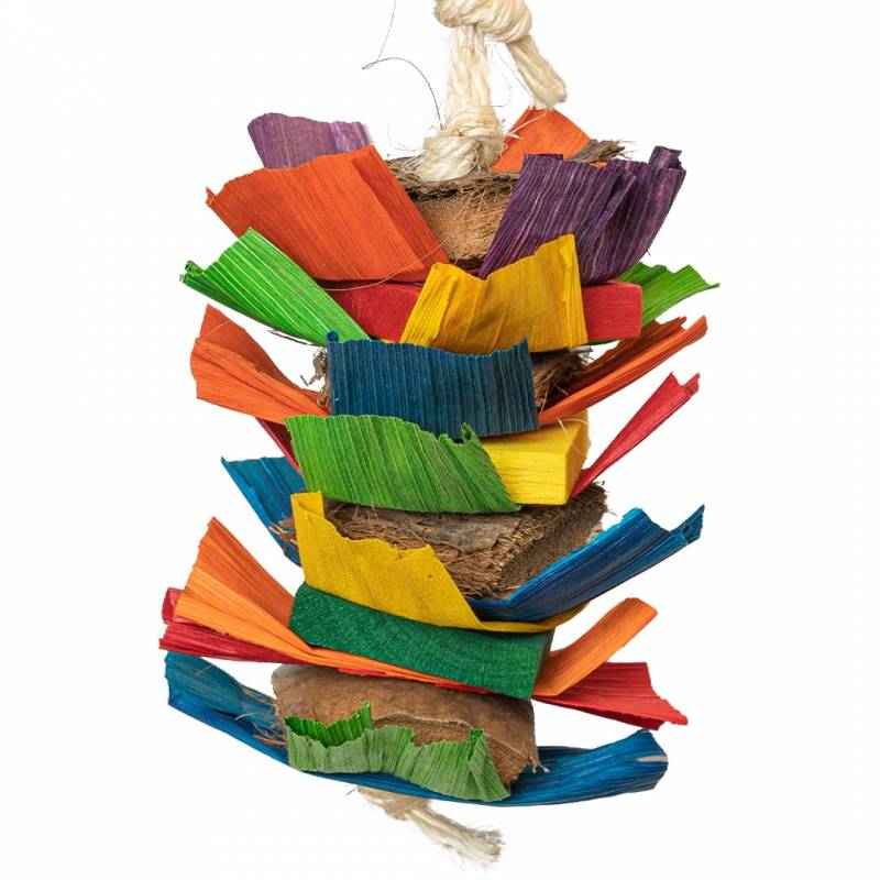 Back Zoo Nature - Coco Rainbow