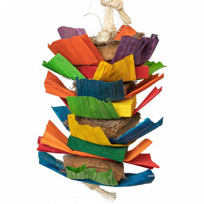 Back Zoo Nature - Coco Rainbow