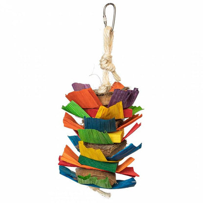 Back Zoo Nature - Coco Rainbow