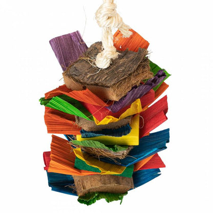 Back Zoo Nature - Coco Rainbow