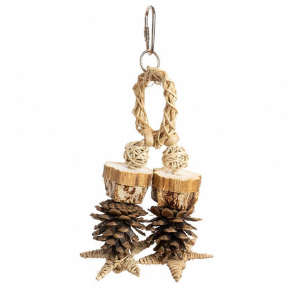 Back Zoo Nature - Forest Ring