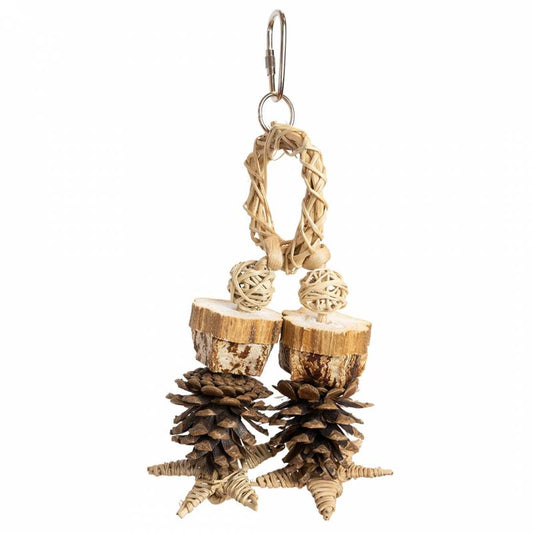 Back Zoo Nature - Forest Ring