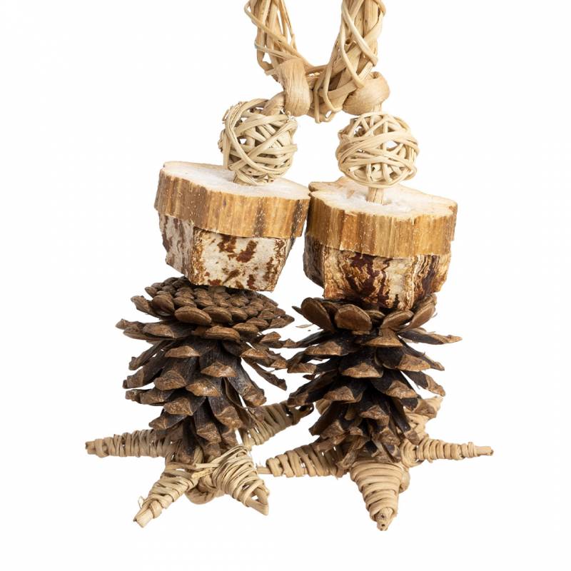 Back Zoo Nature - Forest Ring