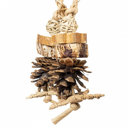 Back Zoo Nature - Forest Ring