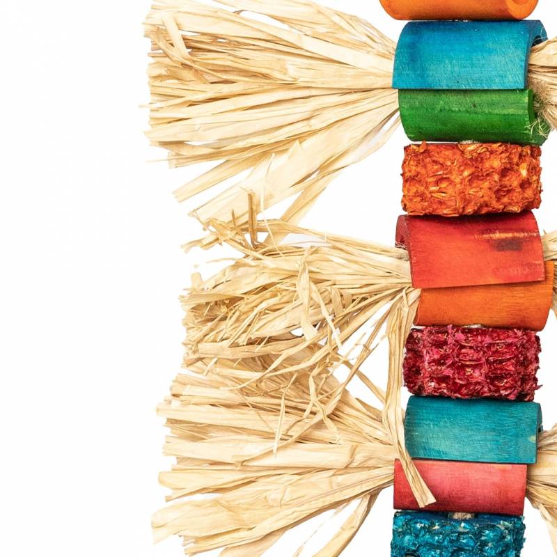 Back Zoo Nature - Grass Beetle