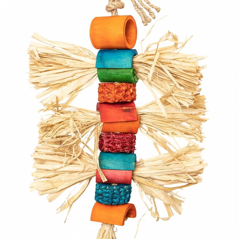 Back Zoo Nature - Grass Beetle