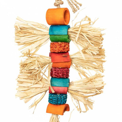 Back Zoo Nature - Grass Beetle