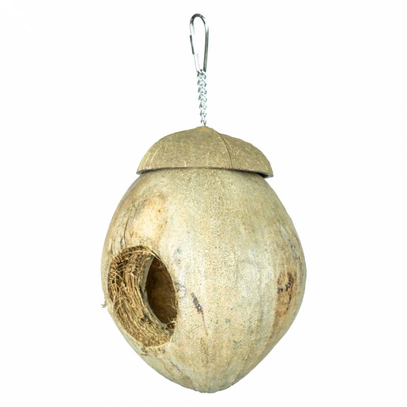 Back Zoo Nature Hanging Coconut Villa