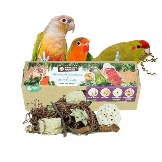 Back Zoo Nature - Hexagon Foraging & Play Tunnel