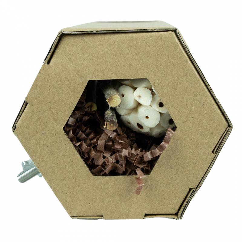 Back Zoo Nature - Hexagon Foraging & Play Tunnel