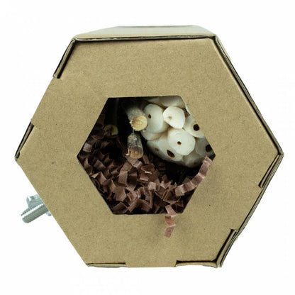Back Zoo Nature - Hexagon Foraging & Play Tunnel