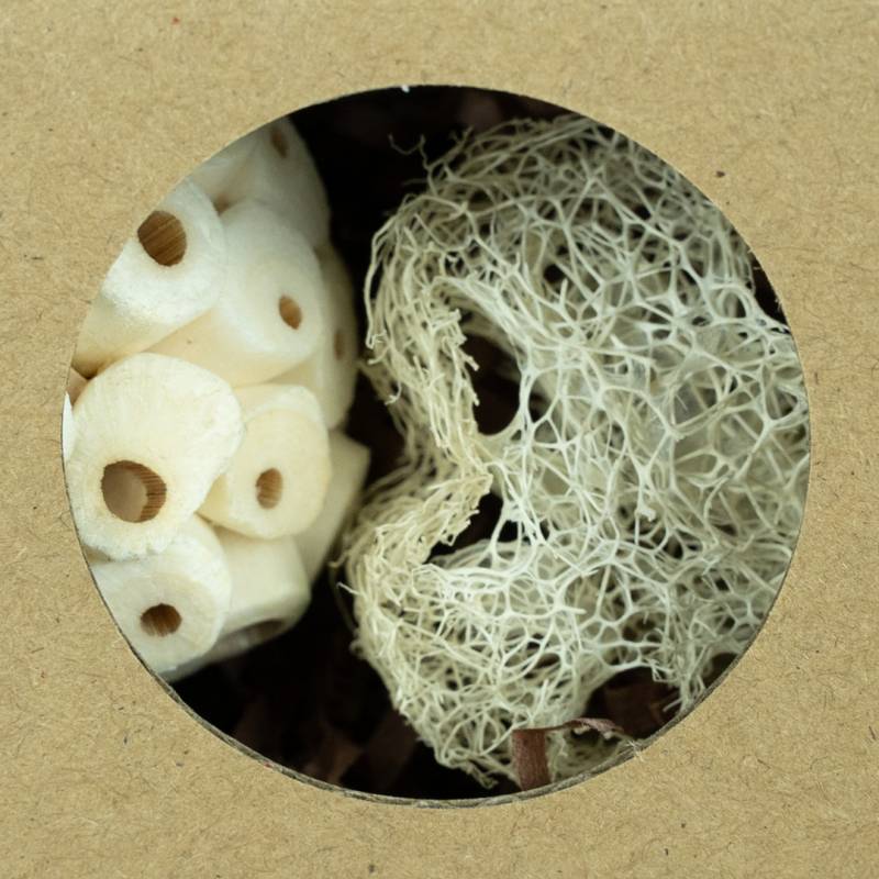 Back Zoo Nature - Hexagon Foraging & Play Tunnel