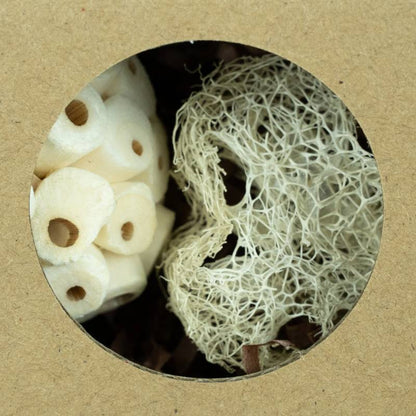 Back Zoo Nature - Hexagon Foraging & Play Tunnel