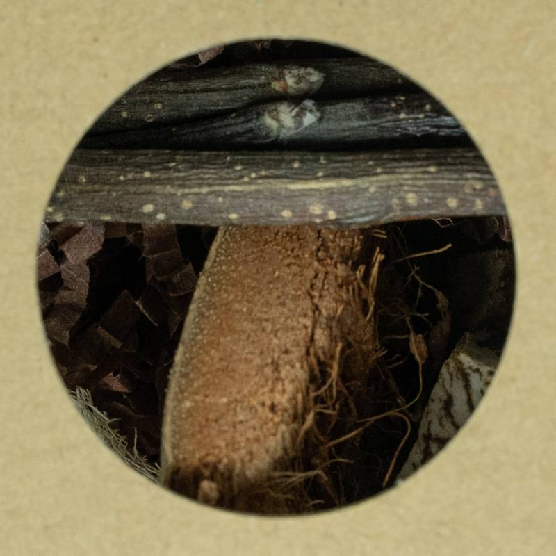 Back Zoo Nature - Hexagon Foraging & Play Tunnel