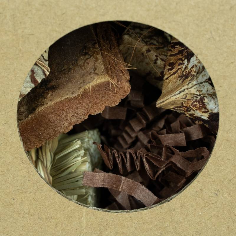 Back Zoo Nature - Hexagon Foraging & Play Tunnel