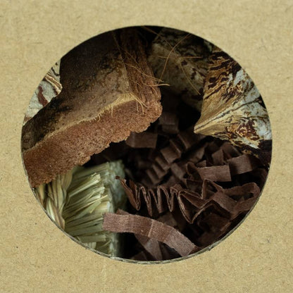 Back Zoo Nature - Hexagon Foraging & Play Tunnel