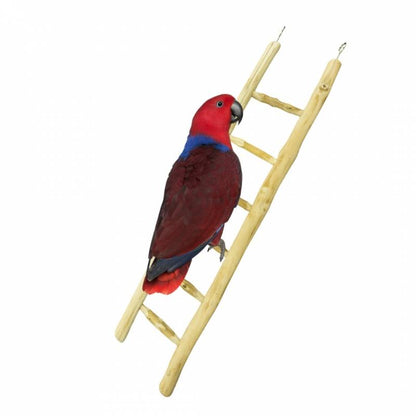 Back Zoo Nature stevige JAVA houten ladder 60 cm