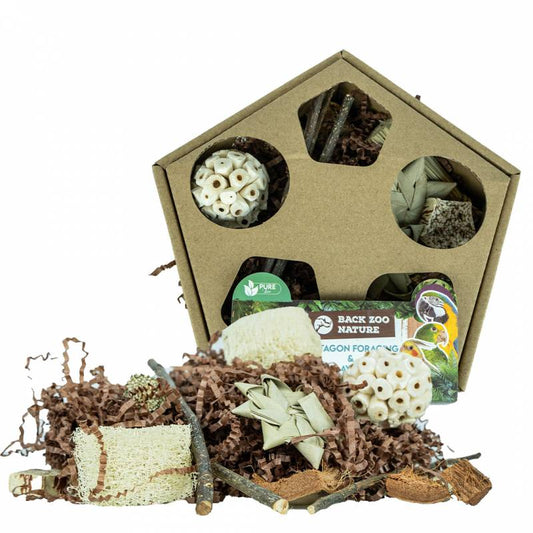 Back Zoo Nature - Pentagon Foraging & Play Box